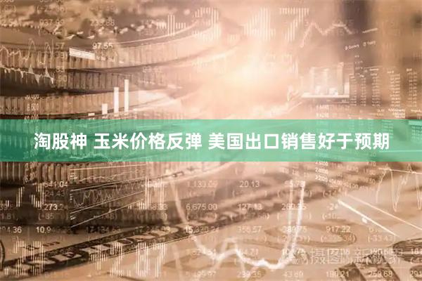 淘股神 玉米价格反弹 美国出口销售好于预期